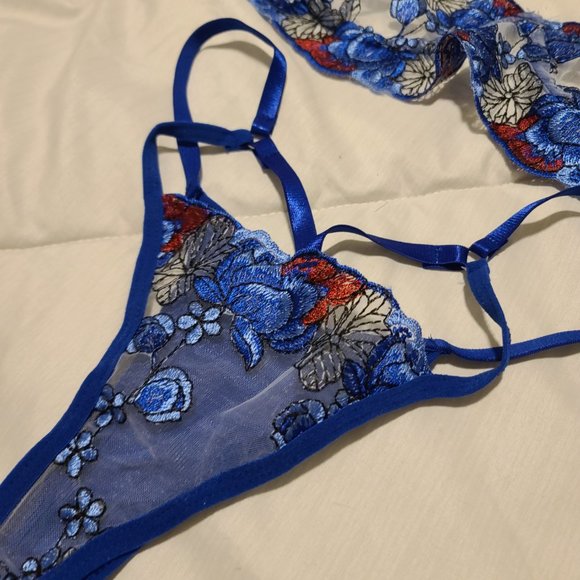 Embroidered Sheer Bra Set! - Picture 4 of 4